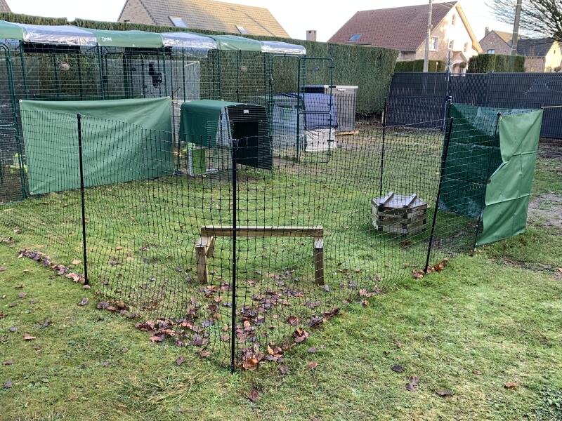 Chicken fencing installed in a garden