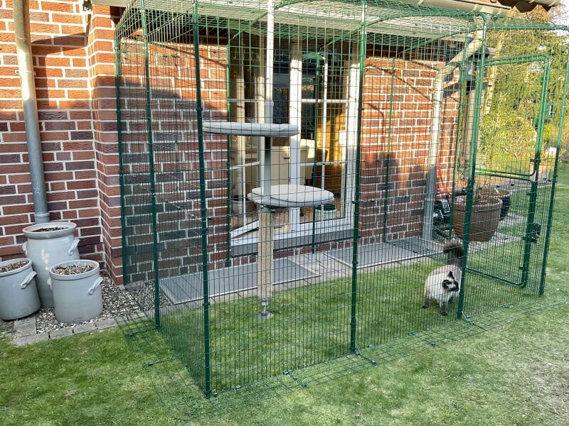 A cat enclosure with an outdoor cat tree
