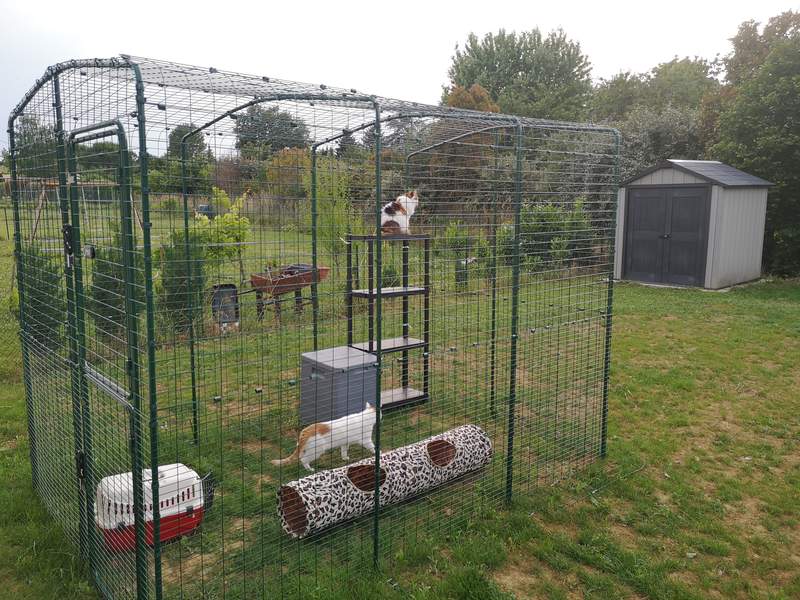 A walk In Omlet Catio with some cat toys inside.