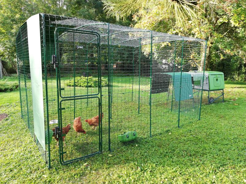 A plastic chicken coop connected to a large walk-in run