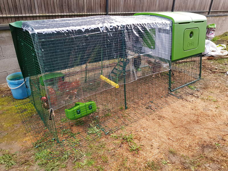 Omlet Green Eglu Cube Large Chicken Coop and Run with Covers