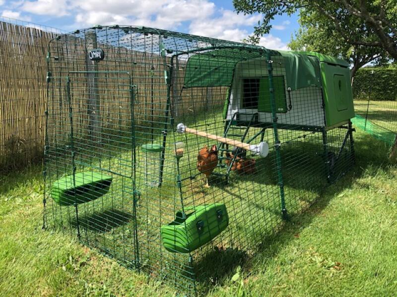 A green chicken coop connected to a run in a garden