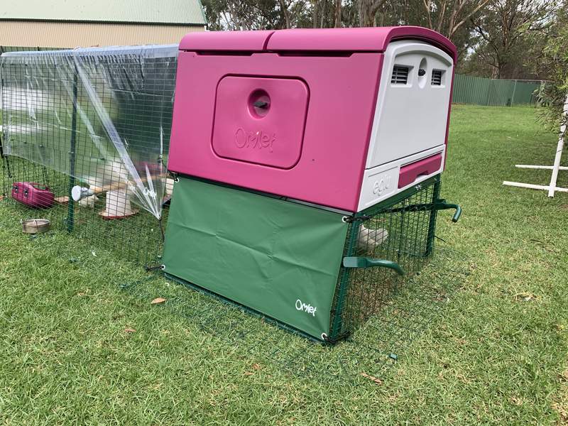 A large purple Cube chicken coop with a run attached with covers on top