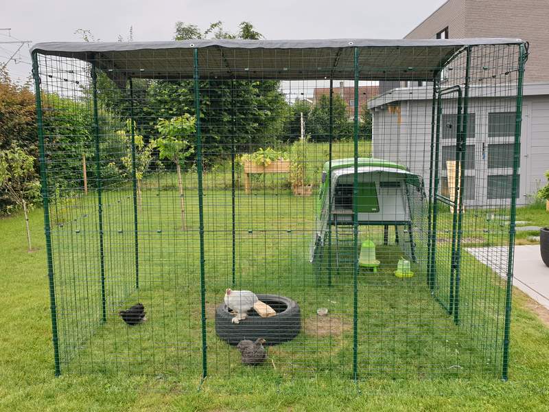 A chicken coop connected to a large run in a garden