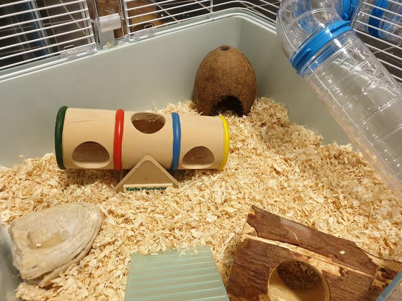 a hamster or gerbil cage set up with lots of toy and accessories