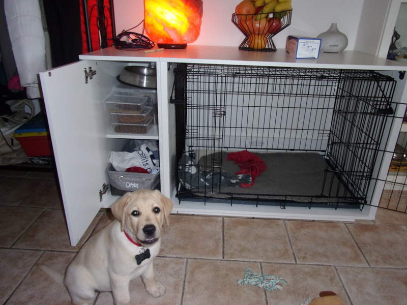 Cachorro con Omlet Fido Nook muebles de la caja del perro
