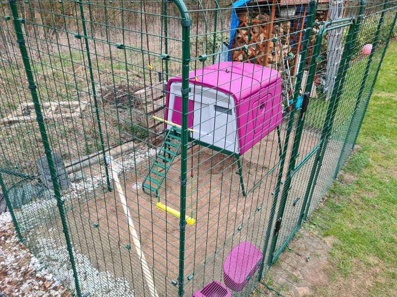 Lilla Omlet Eglu  Cube stor hønsegård inde i Omlet hønsegård til indgang