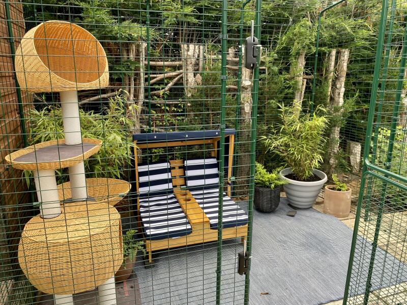 A catio installed with chairs and many cat accessories