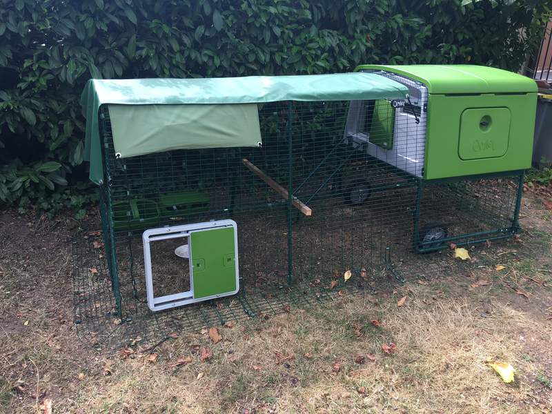 Omlet Green Eglu Cube Large Chicken Coop and Run with Omlet Green Automatic Chicken Coop Door Attached to Run