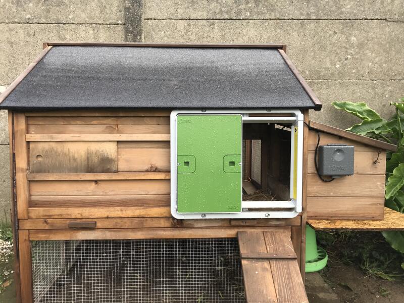 Automatic chicken house door on a wooden coop