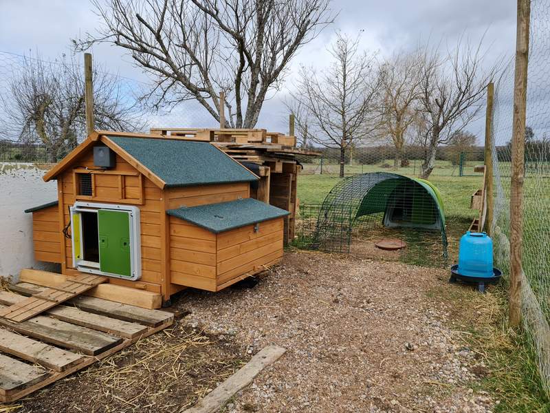 A large wooden chicken coop with an Omlet automatic door opener attached.