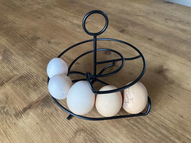 Eggs on a black egg skelter