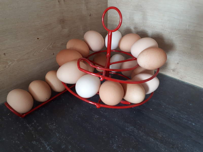 æg i rødt Omlet egg skelter