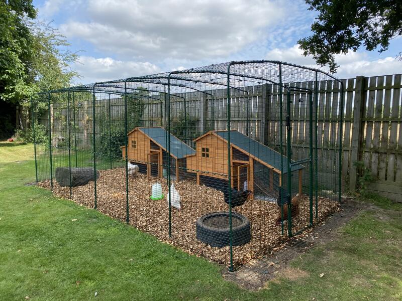 Stor löpgård med två kycklingkojor av trä inuti