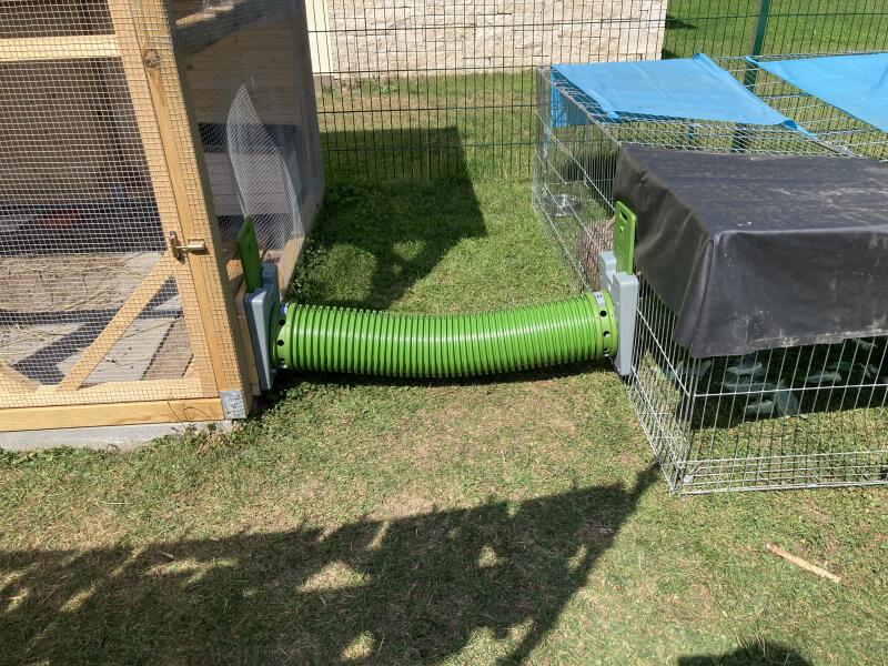 A green plastic tunnel connecting an enclosure with a rabbit hutch
