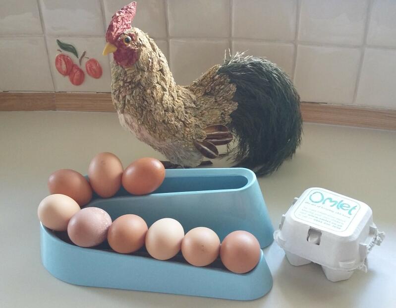 Dejlige gratis æg!