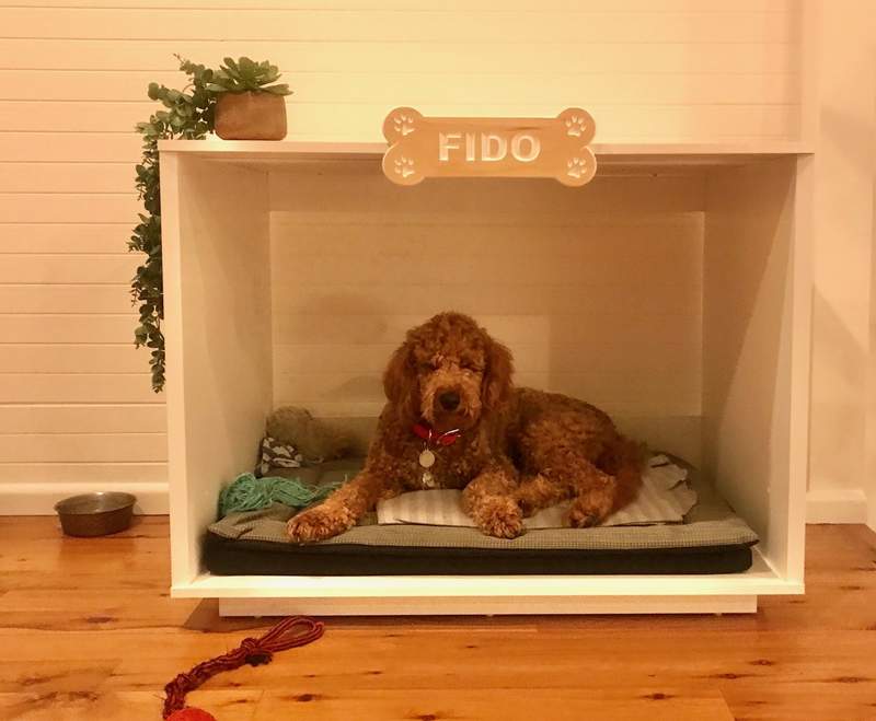 En hund, der hviler sig i hundehuset Fido.