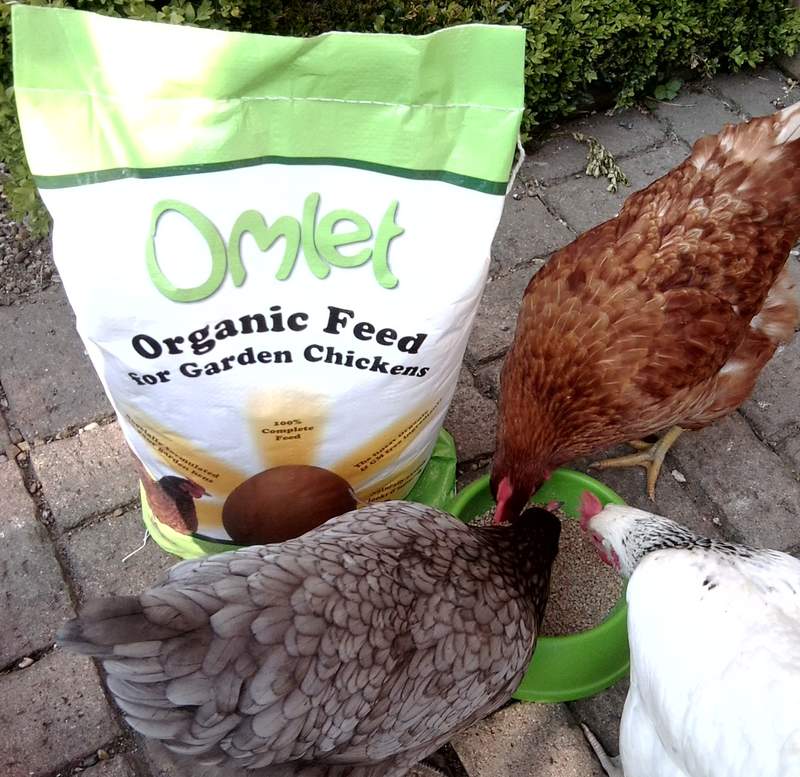 Omlet organisch voer