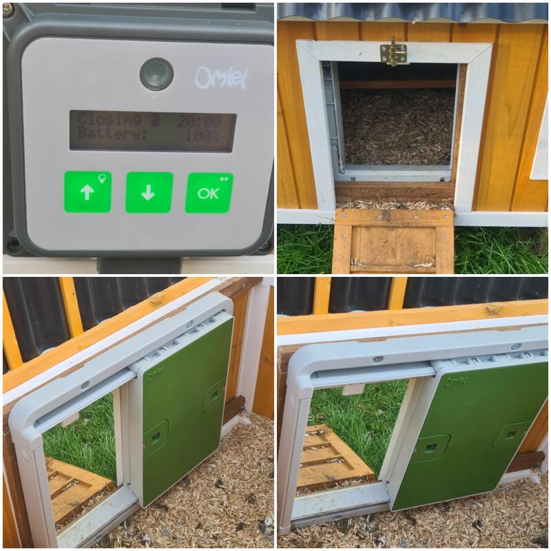 An automatic coop door opened mounted on the inside of a coop