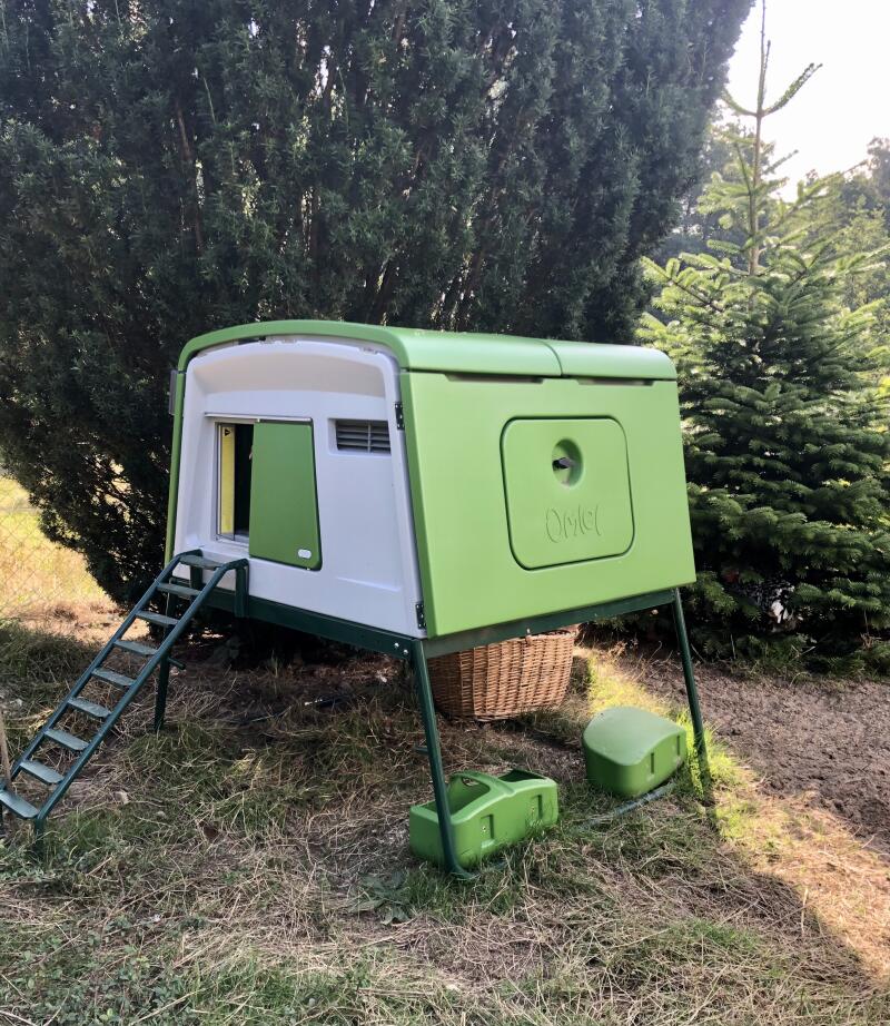 A green coop without run installed in a garden