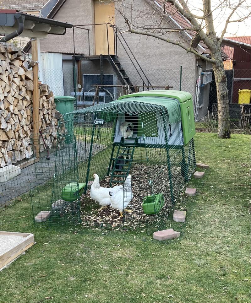 Some chickens in green coop with a run, in a garden
