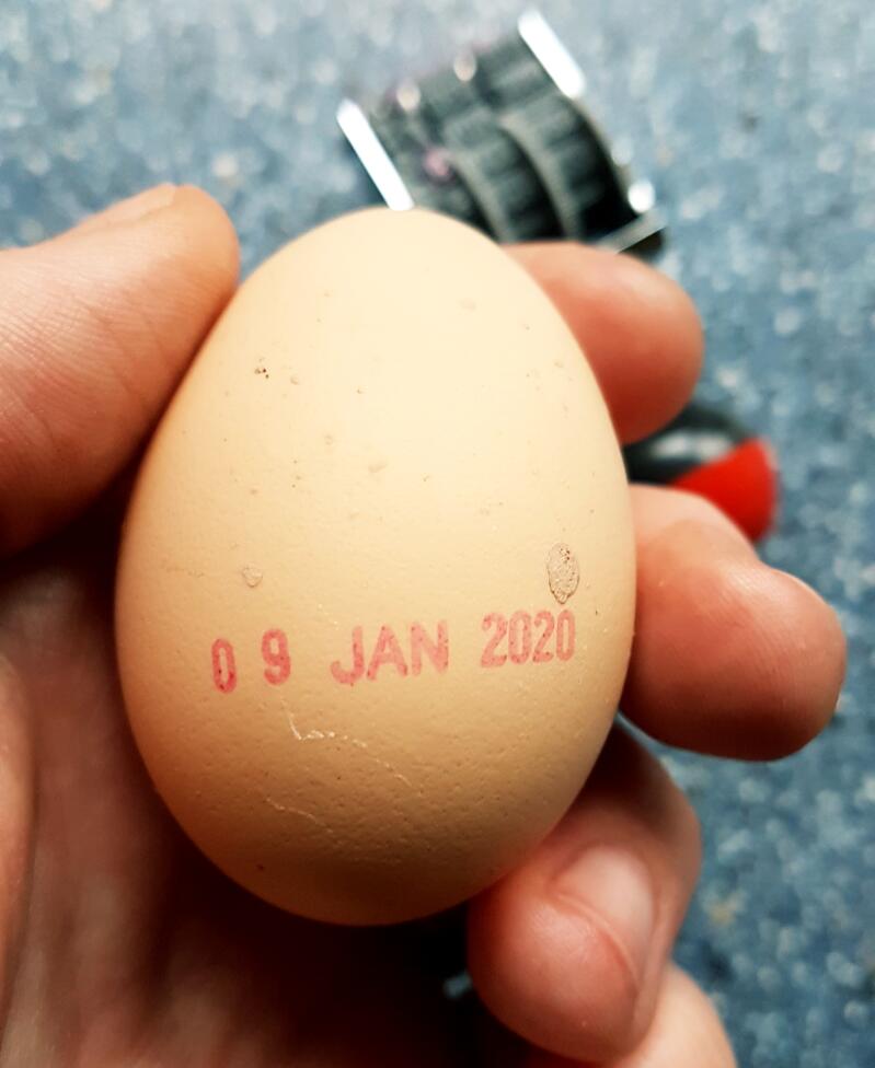 Egg with Date Stamped