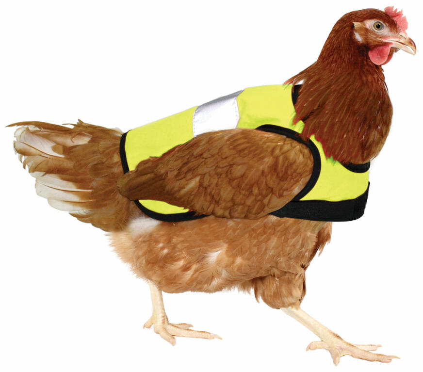 La giacca chickent ad alta visibilità in giallo