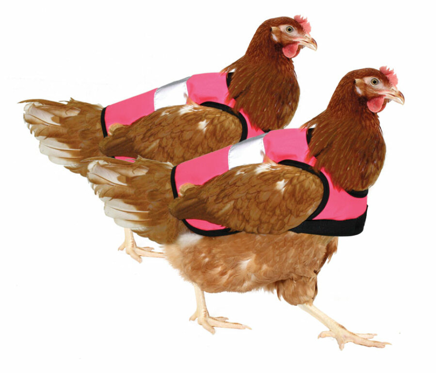 Twin Pack of High-Vis Pink Chicken Jackets