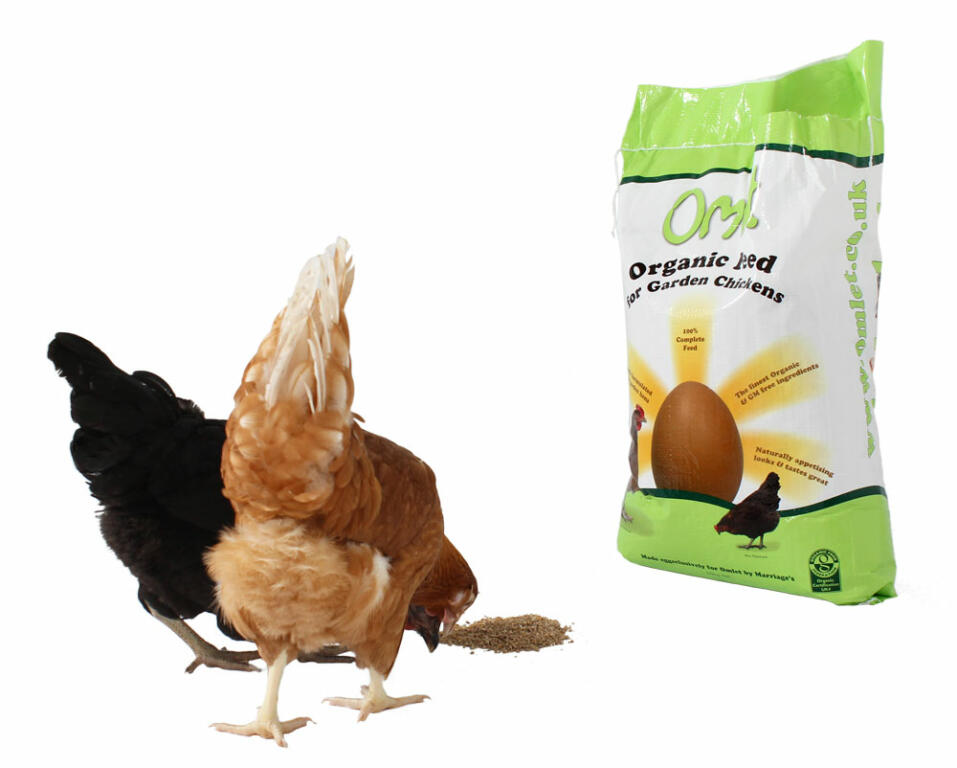 Ein schmackhaftes hühnerfutter, das die gesundheit und die eier ihrer hühner verbessert!