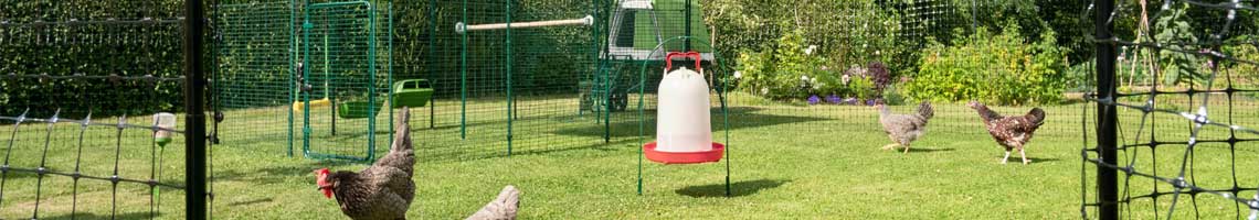 Keeping your chickens safe in an attractive and spacious environment.