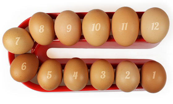 The Egg Ramp™ holding 12 eggs.