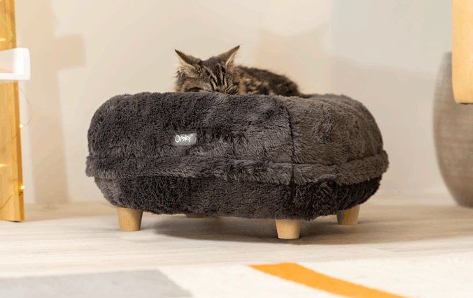 Surélevez le chat panier avec des pieds design pour le style, le confort et l’hygiène du couffin chat / coussin relaxant chat / chat lit