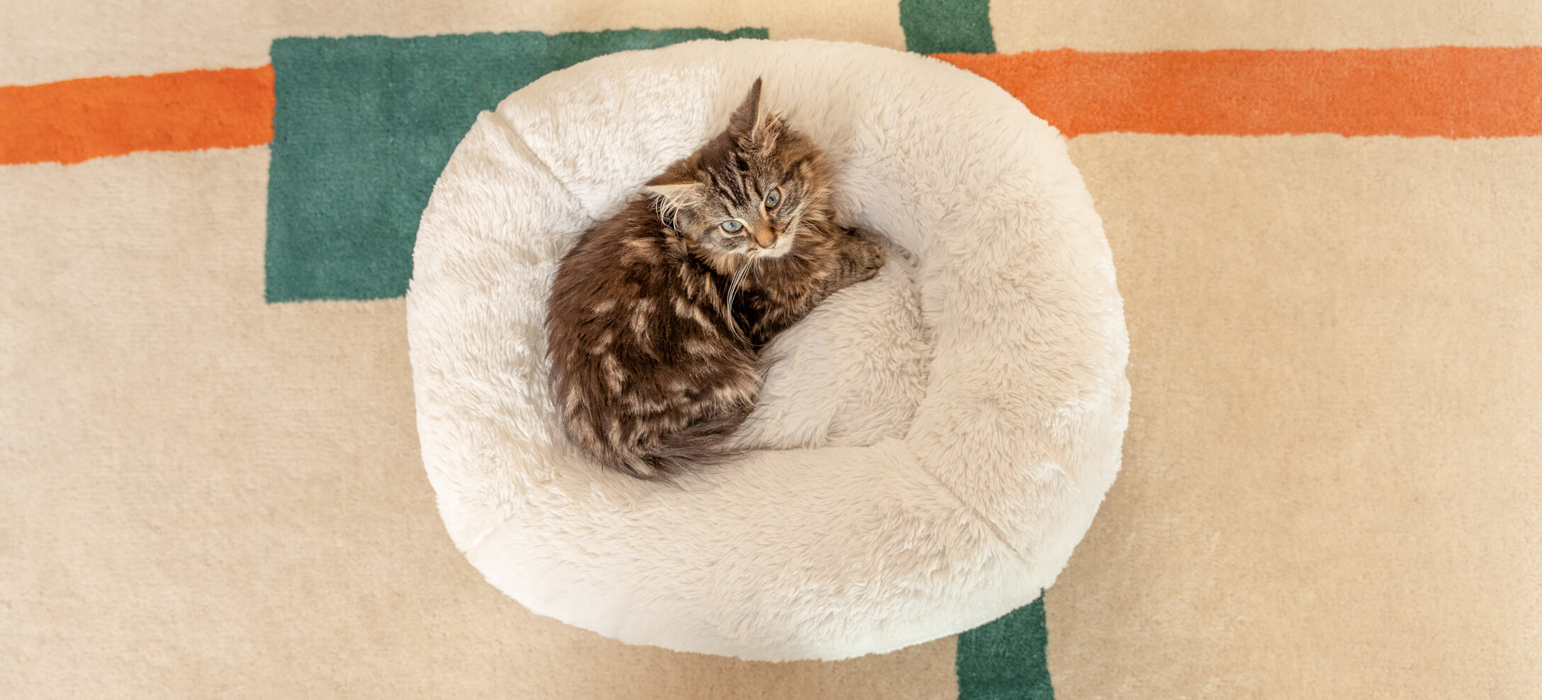 A tabby kitten sleeping in a donut shaped bed