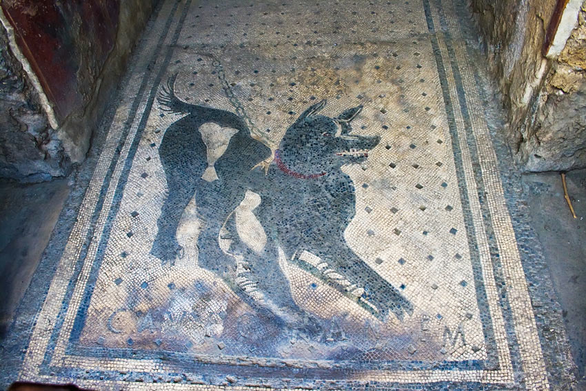 A Roman Mosaic