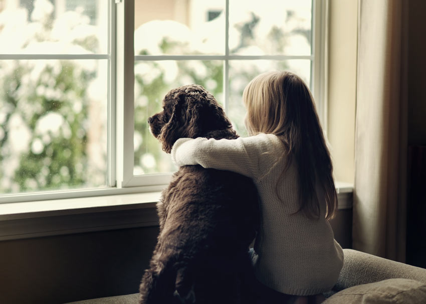 Ein Hund und ein kleines Mädchen sitzen vor dem Fenster und schauen nach draußen