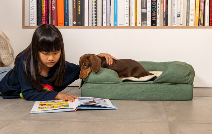 Verwöhnen Sie Ihren Hund mit einer luxuriösen Decke, die sein Bett noch gemütlicher macht.