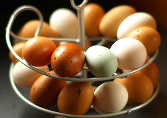An Omlet Egg Skelter full of eggs,