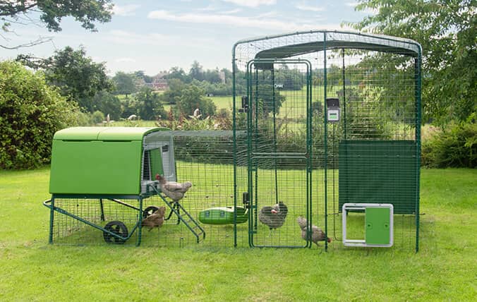 Walk-in luftegård med en automatisk dør for hønsehus.