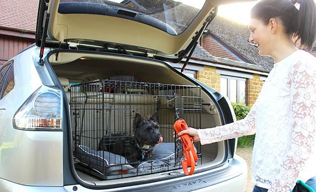 Umieszczenie psa w klatce na czas transportu samochodem jest najbezpieczniejsze dla niego i dla Ciebie