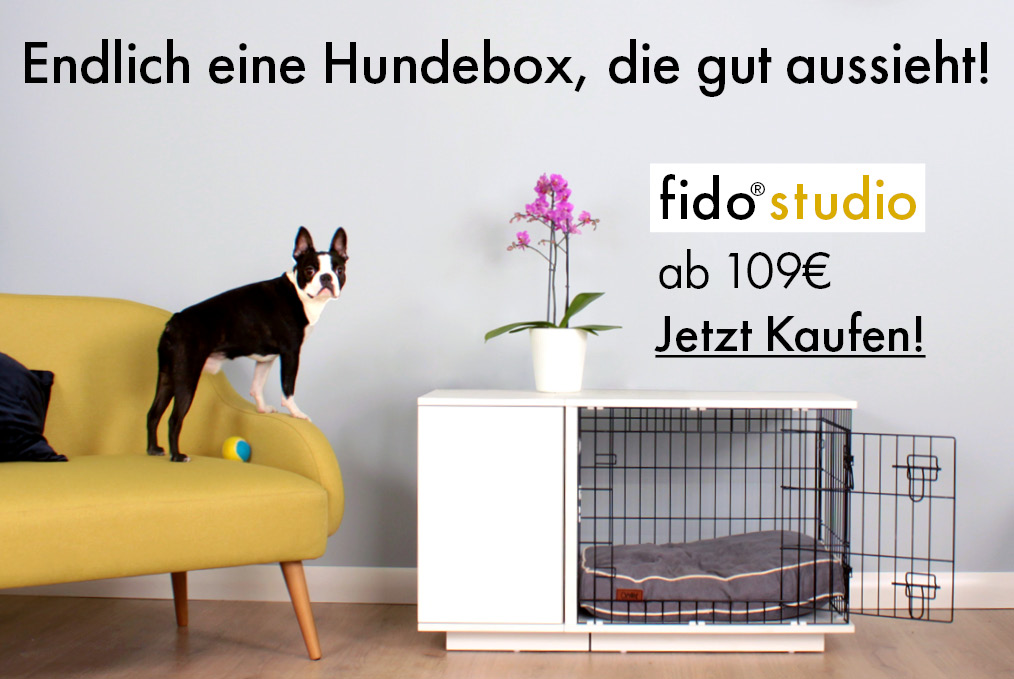 Banner zum Fido Studio, der ersten Hundebox mit integrierter Garderobe