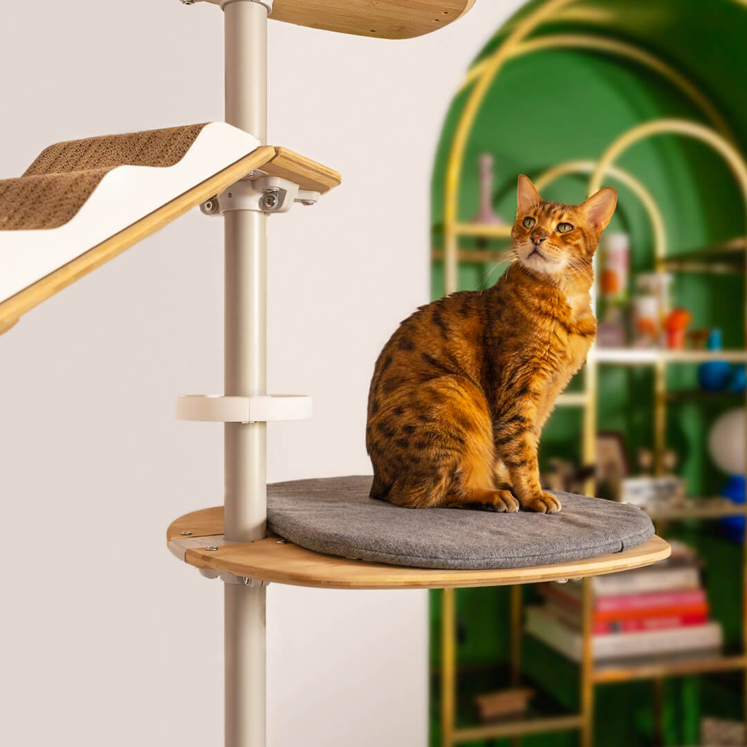 Kat op Freestyle vloer tot plafond kattenboom kussen platform