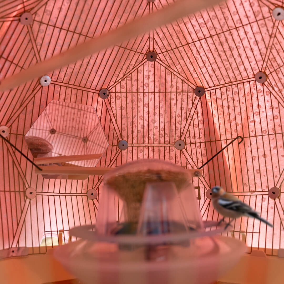 A model bird perched on a feeder inside a pink bird cage with a mirror