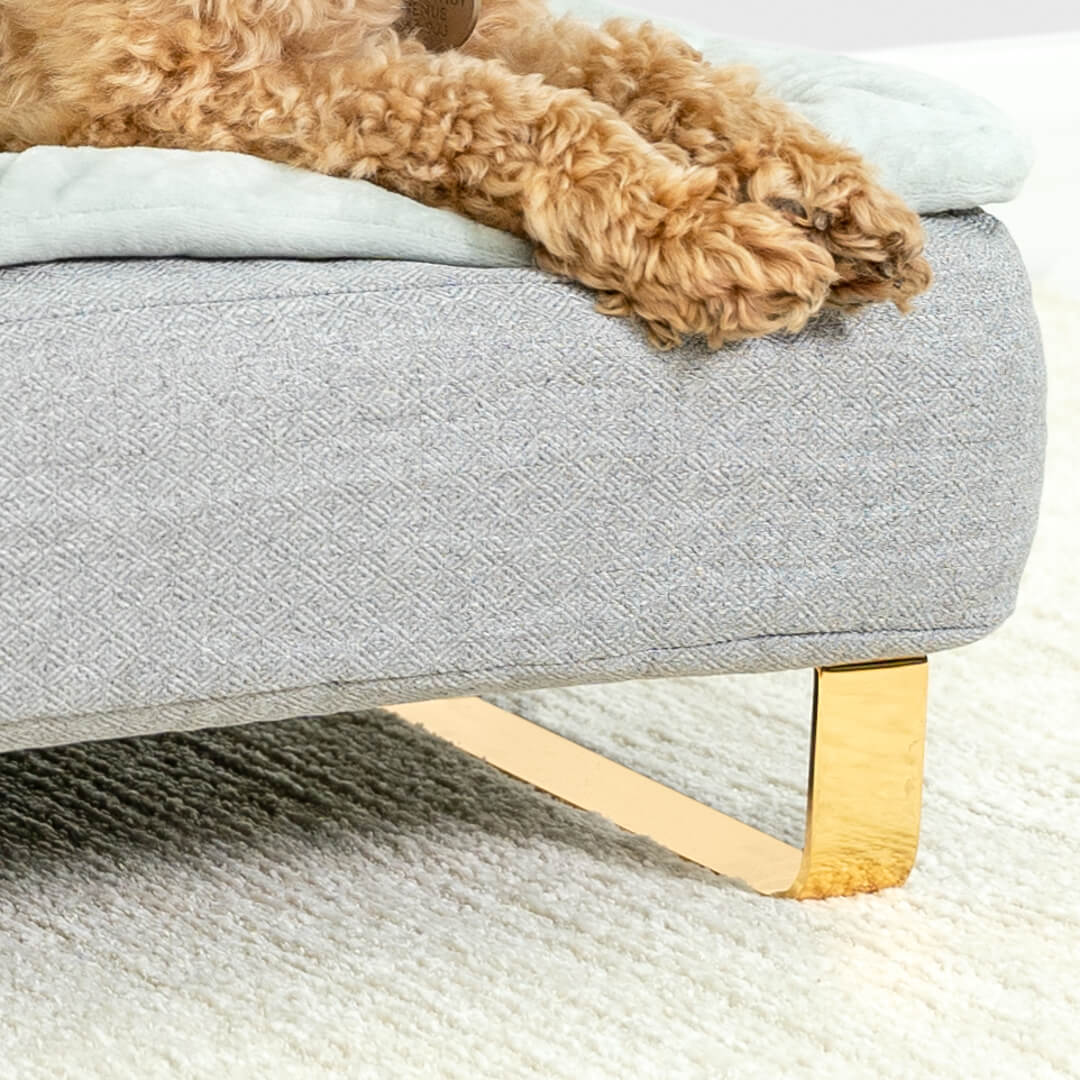 Close up van hond zittend op Omlet Topology hondenbed met bolster bed topper en Gold rail voeten