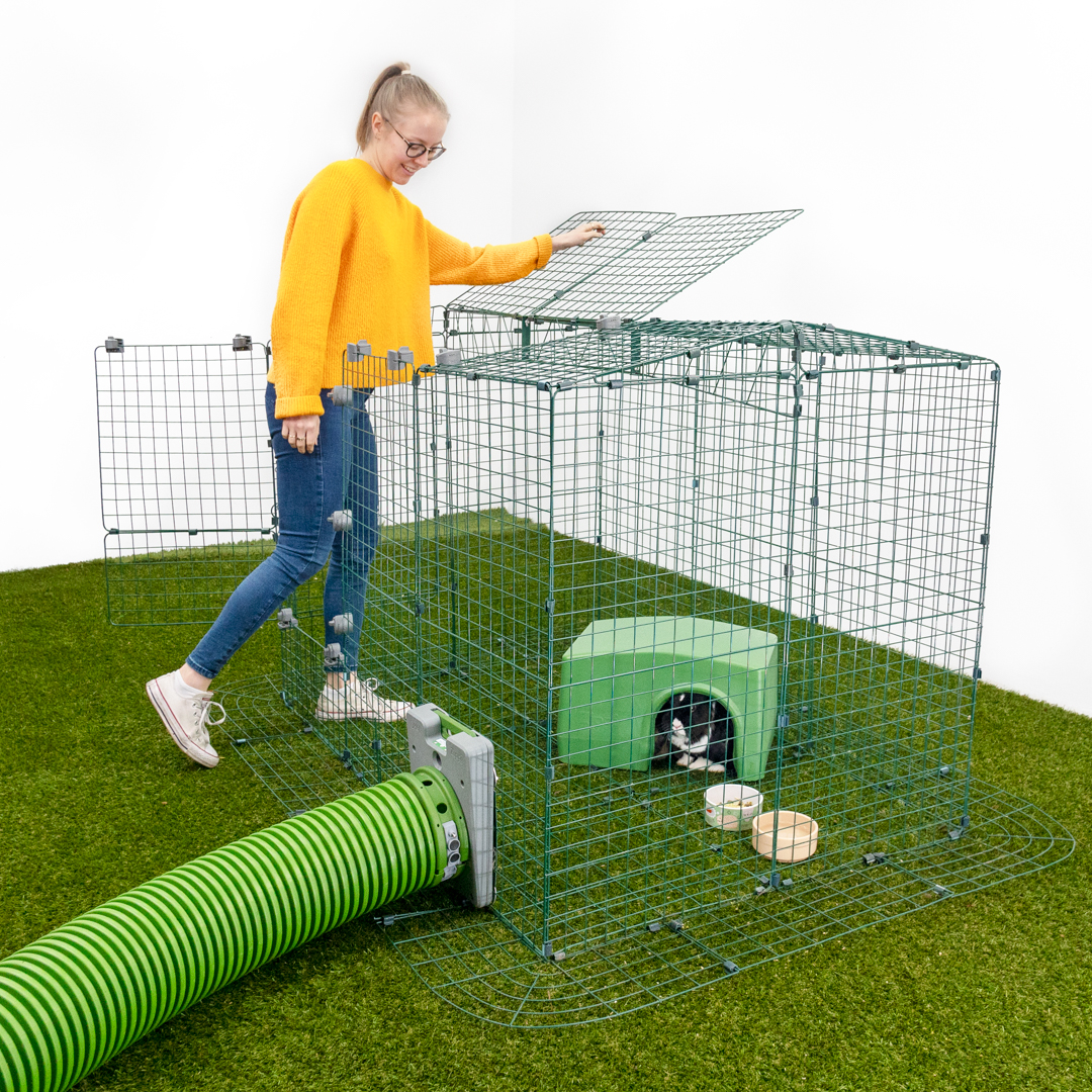 Une fille ouvrant une section d'un parcours pour animaux avec des lapins à l'intérieur dans un refuge avec un parcours Zippi 