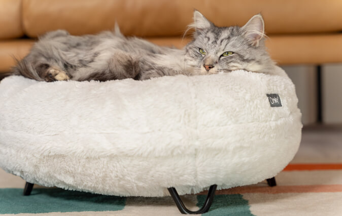 Un lit chat rembourré dans lequel votre chat pourra bien se blottir / coussin pour chat / couchage chat