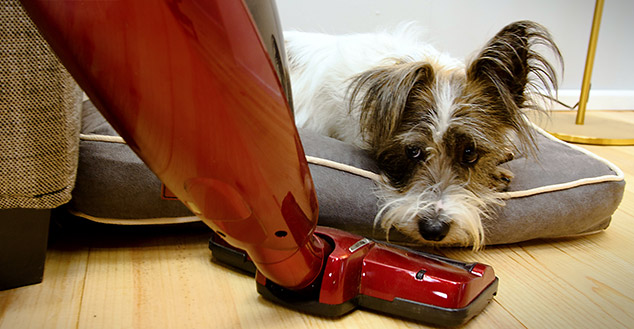 Im Fido Nook ist Ihr Hund vor Zugluft und ungewollten Störungen geschützt
