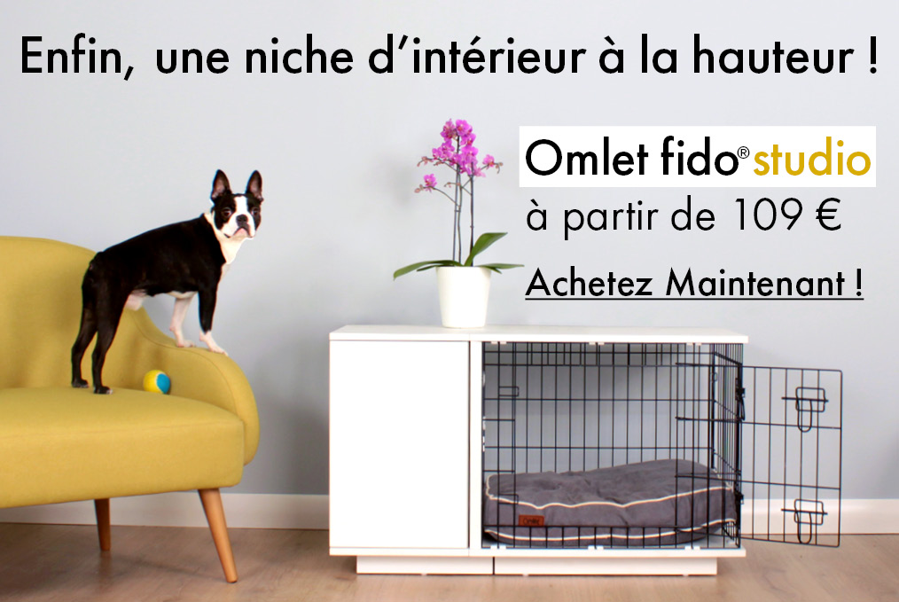 Découvrez le Meuble pour chien Omlet Fido Studio