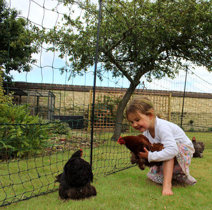 Kinder lieben ihre erste Begegnung mit ihren neuen Hühnern