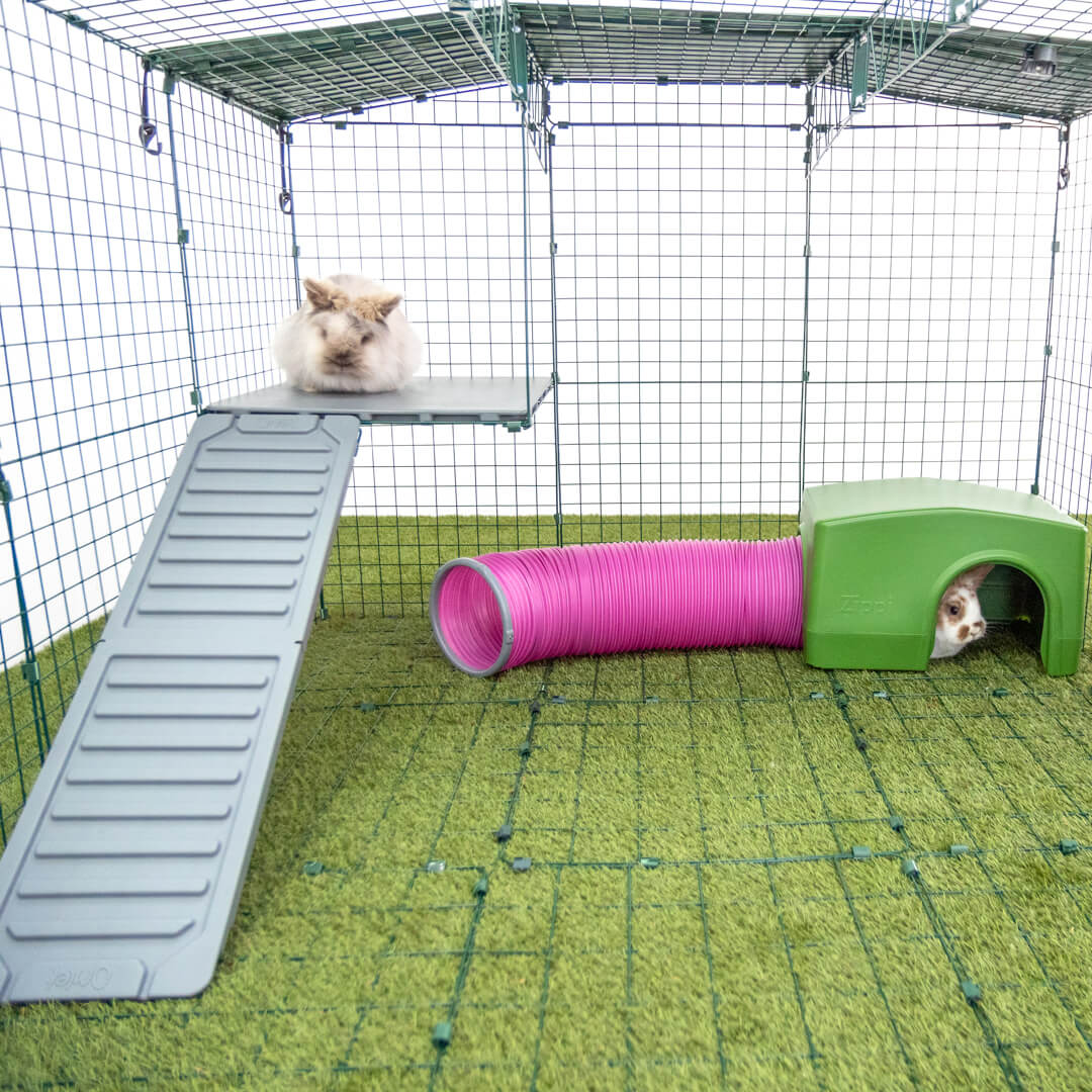 Omlet Zippi parcours pour lapins avec plateforme d'angle, Zippi rampe pour lapins, et abri vert