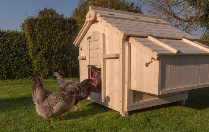 Lenham er et hønsehus af høj kvalitet, der vil holde i mange år fremover.
